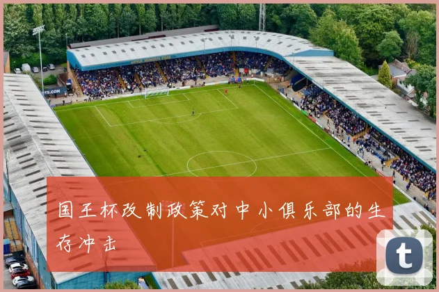 国王杯改制政策对中小俱乐部的生存冲击