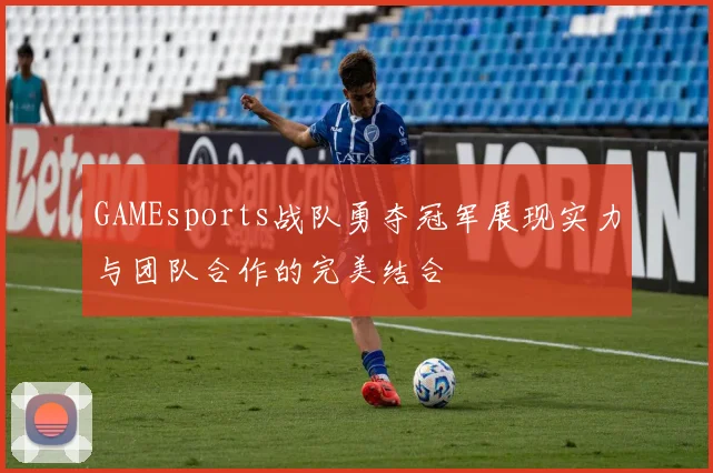 GAMEsports战队勇夺冠军展现实力与团队合作的完美结合
