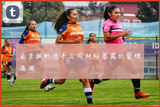 南京枫帆选手合同纠纷暴露的管理漏洞