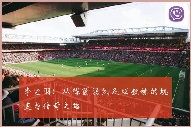 李金羽：从绿茵场到足坛教练的蜕变与传奇之路
