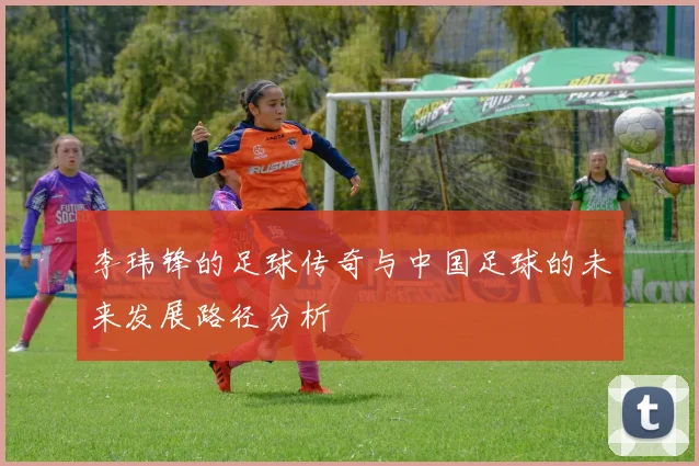李玮锋的足球传奇与中国足球的未来发展路径分析