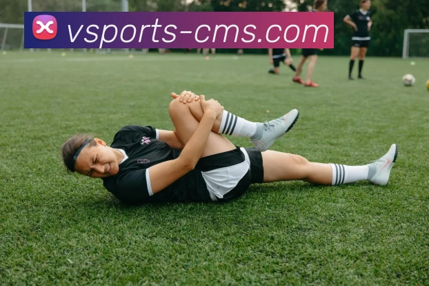 v体育官网APP 封面图