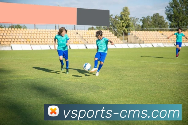 v体育官网APP 封面图